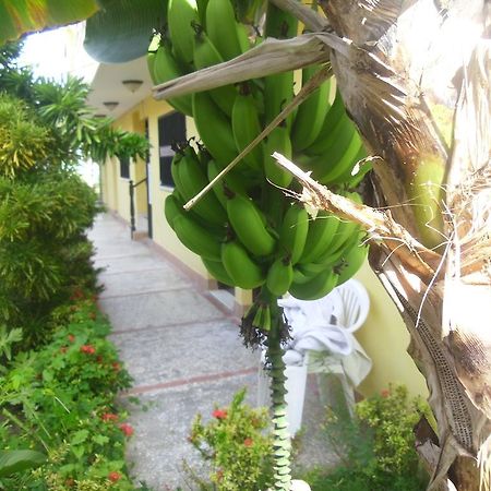 Residencial El Mirador Aparthotel Boca Chica Bagian luar foto